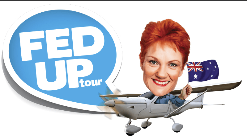 Pauline Hanson's plane, flown by adviser James Ashby, has been a prominent feature in One Nation campaign material.