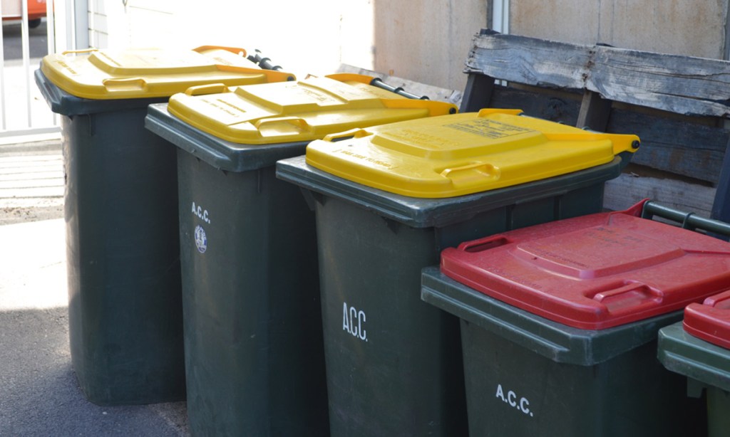 Council-provided bins outside a city business. Photo: Bension Siebert/InDaily