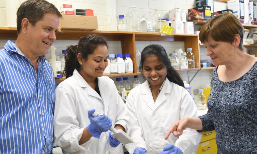 MND researchers Dr Tim Chataway, Vyoma Modi, Michell Cardoso and Dr Mary-Louise Rogers, right, in the MND and Neurotrophic Research Laboratory at the Flinders University School of Medicine, Adelaide.