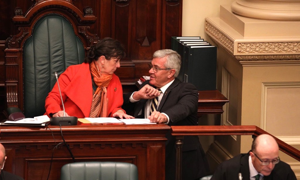 CROSSBENCHERS: Duncan McFetridge talks in parliament with fellow independent Frances Bedford. Photo: Tony Lewis / InDaily