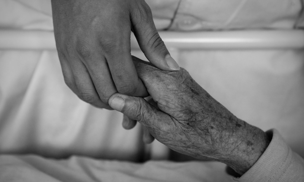 Thumbnail for Chinese aged-care professionals look to South Australian experts
