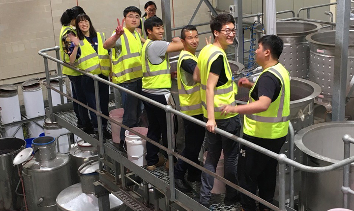 Thumbnail for Chinese winemaking students flock to Adelaide