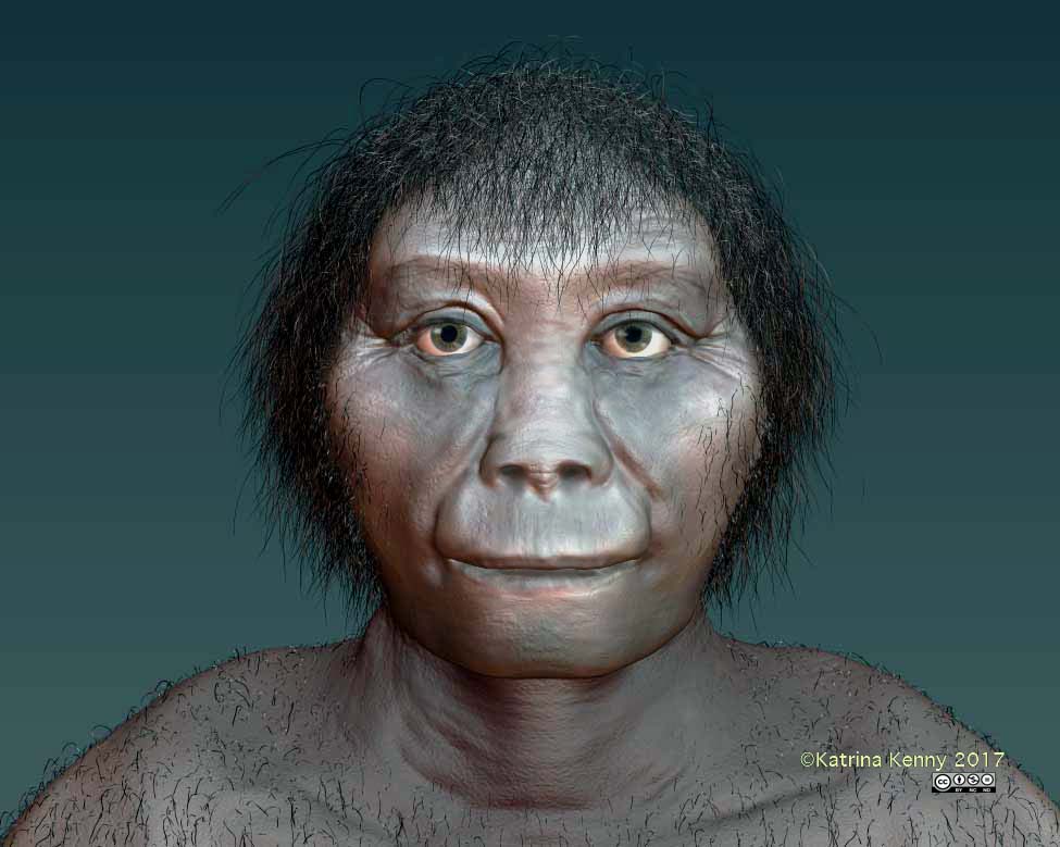 SA artist Katrina Kenny's impression of the Indonesian fossil remains of Homo floresiensis, a species of tiny human discovered on the Indonesian island of Flores in 2003.