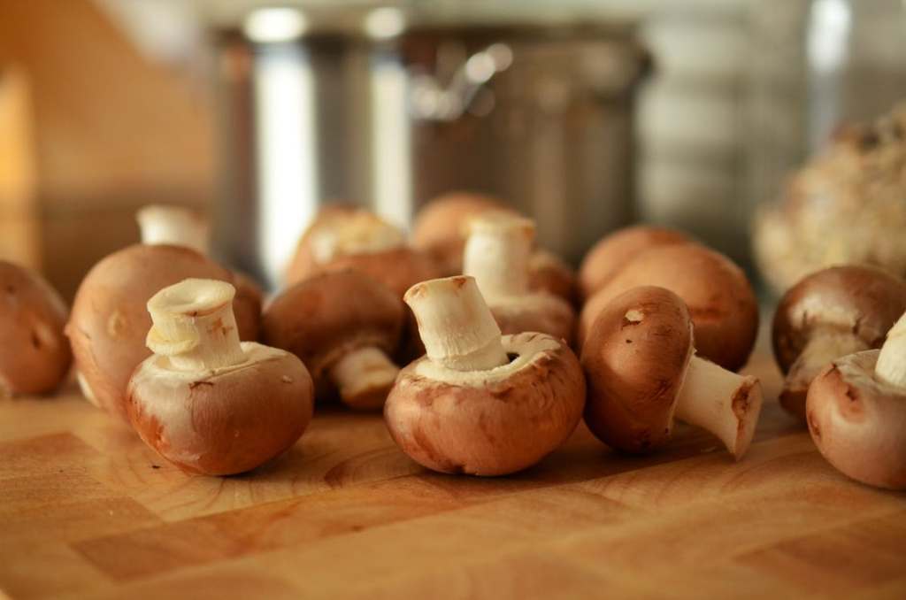 Thumbnail for State Govt pushes economic “good news” at mushroom expansion