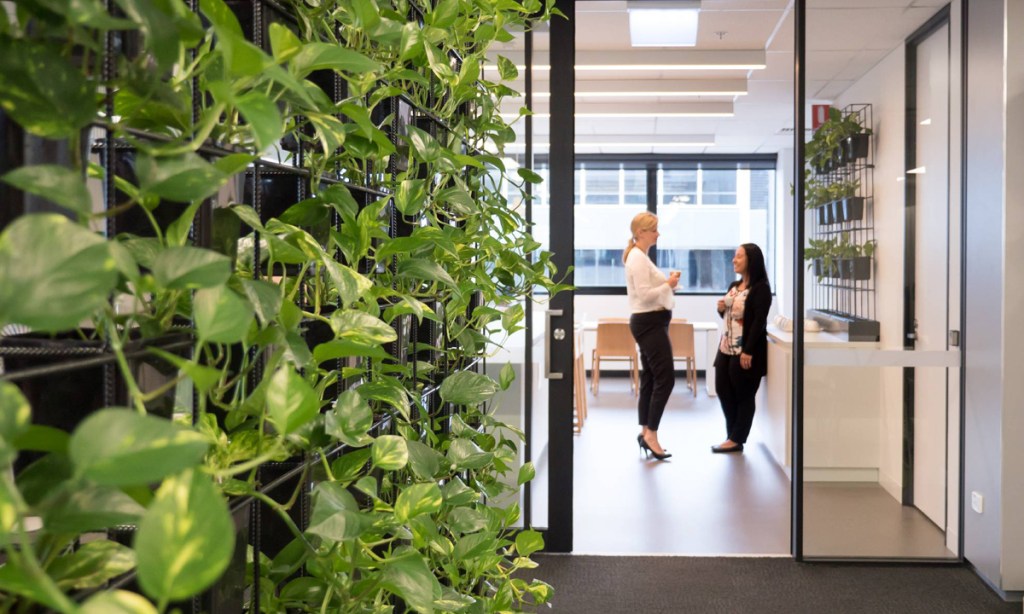 Thumbnail for How retrofitting buildings can help cut emissions