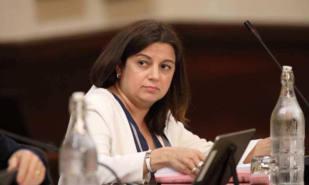 Outgoing Adelaide City councillor Natasha Malani.