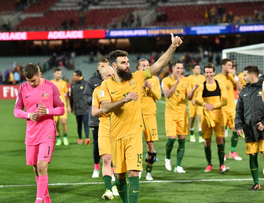 Thumbnail for Ange hails ‘work in progress’ as Socceroos keep dream alive