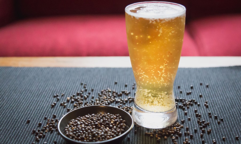 Thumbnail for Indigenous beverage company launches Wattleseed Lager