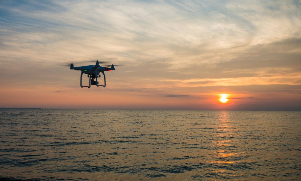 Thumbnail for High-tech solutions from tiny flies