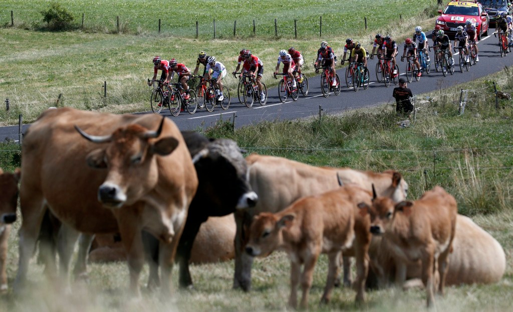 Thumbnail for Hampered Froome forced to take the bull by the horns