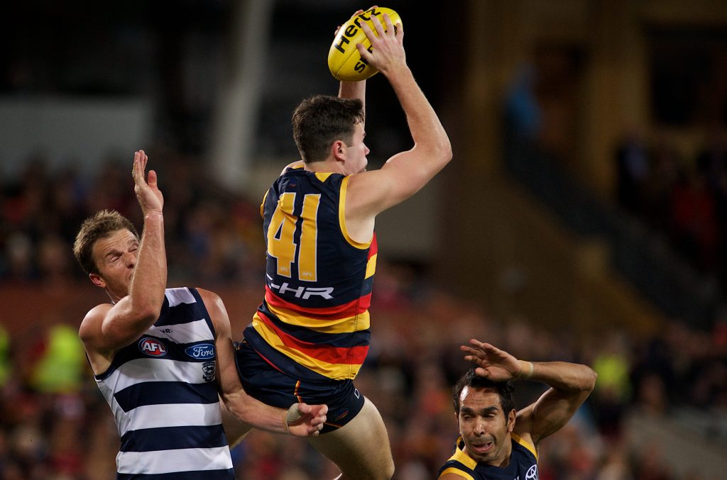 Thumbnail for Crows, Port a picture of health on the field