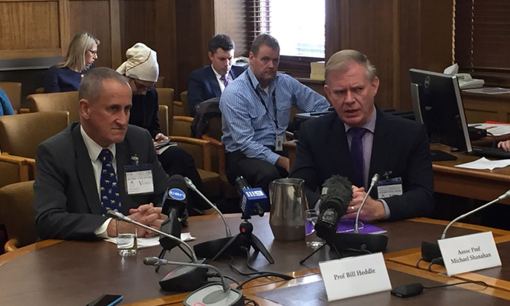 Bill Heddie and Michael Shanahan addressing the Transforming Health committee this morning. Photo: Bension Siebert / InDaily
