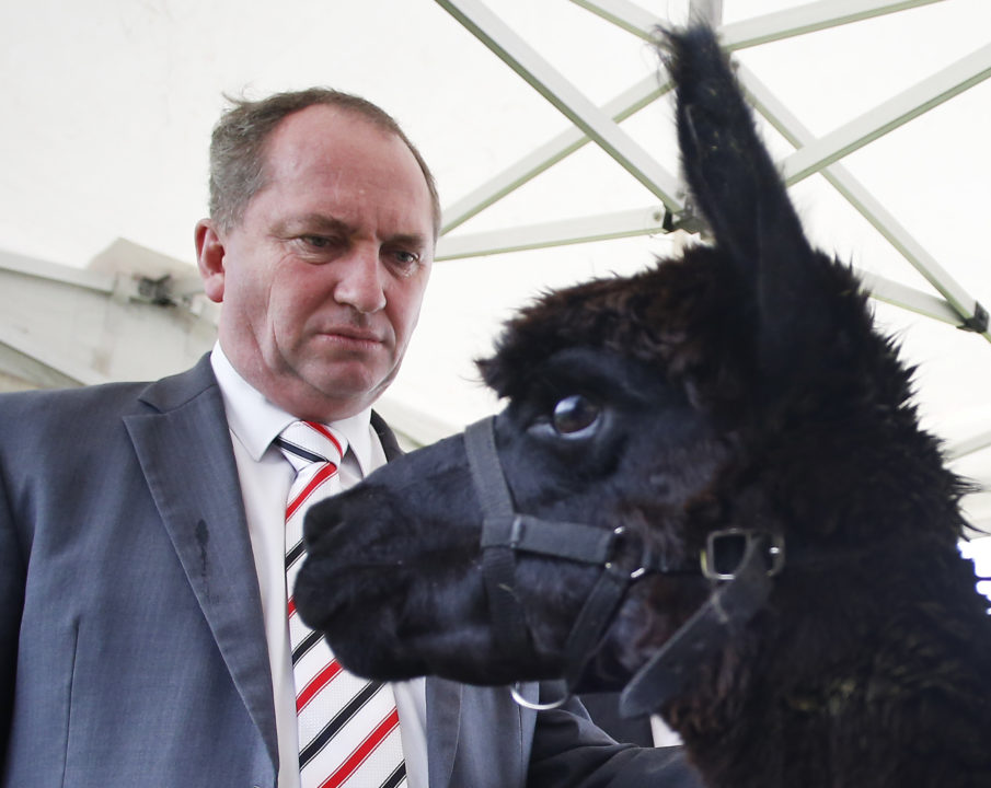 Thumbnail for Barnaby nominated for Kiwi of the year award