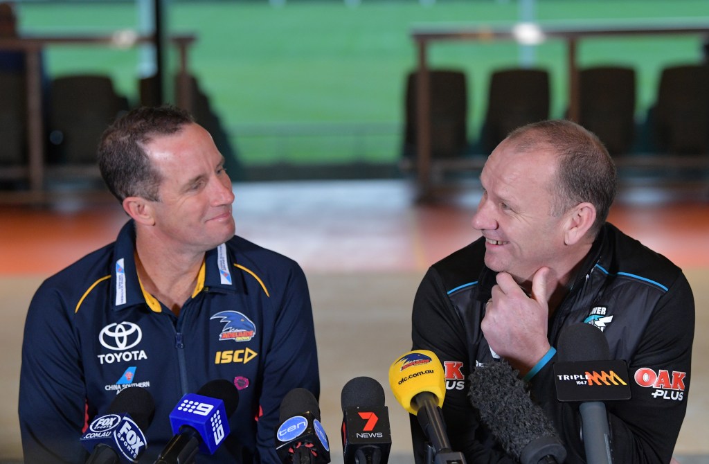 Thumbnail for Crows capable of “scary stuff”, says Hinkley