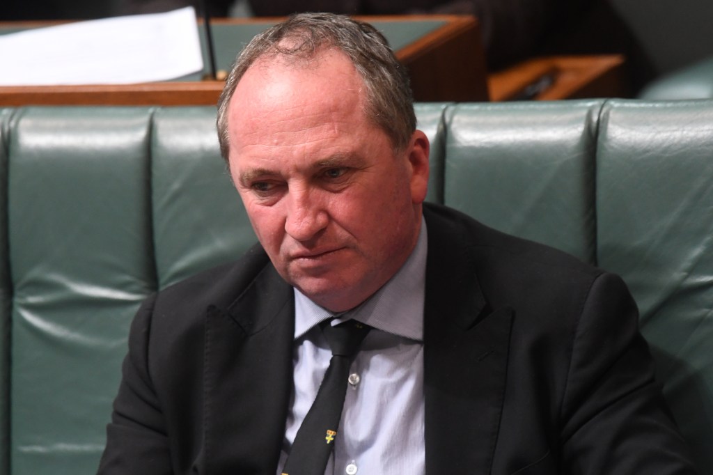 Thumbnail for Deputy PM: I might be a New Zealander