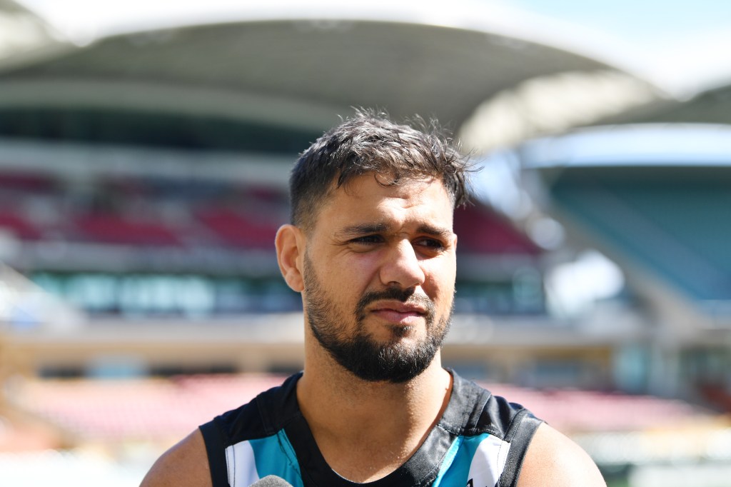 Thumbnail for More than numbers: why Paddy pipped Sauce for All Australian honours