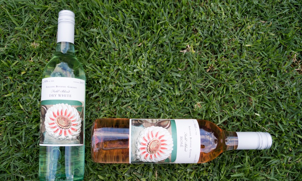 Thumbnail for Adelaide Botanic Garden unveils second wine vintage