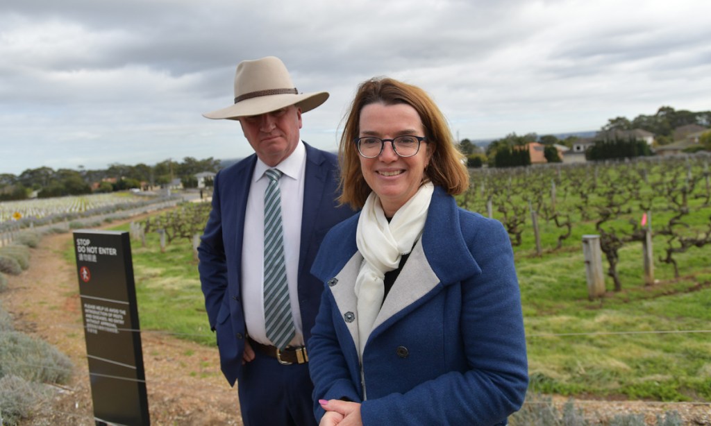 Thumbnail for Taxpayers give $50 million to wine and cider makers
