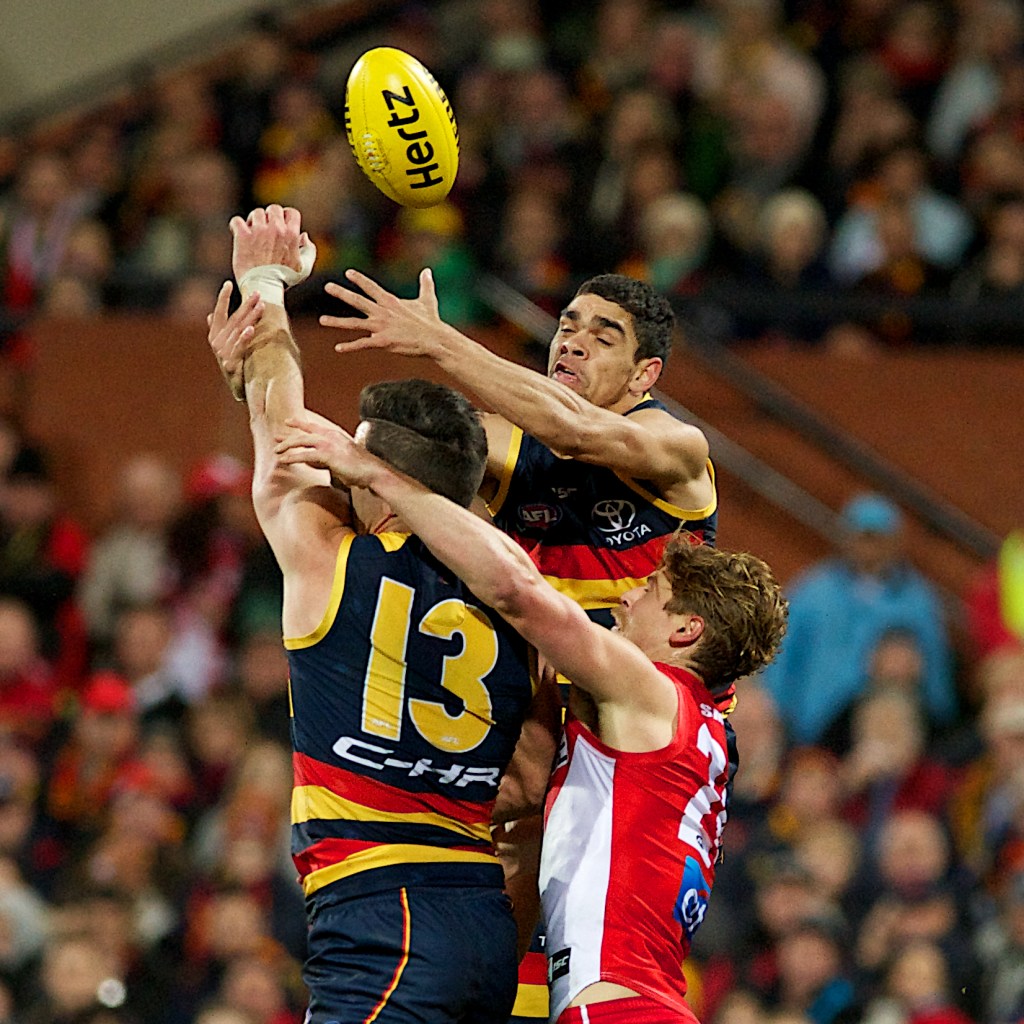 Cameron's future remains up in the air. Photo: Michael Errey / InDaily