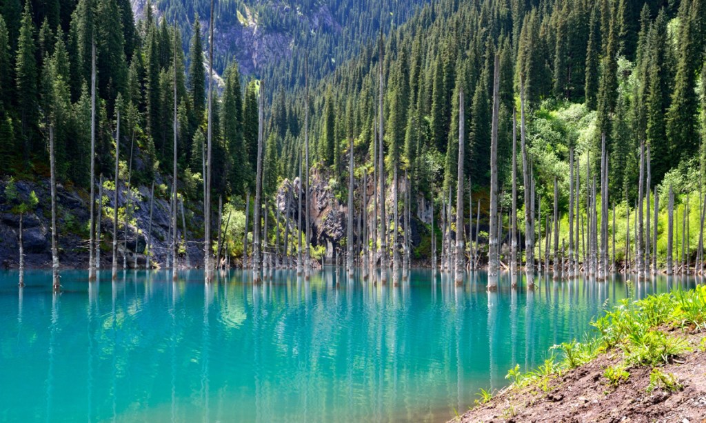 Lake Kaindy, Tian Shan Mountains, Kazakhstan. Photo: Humancode / Getty Images
