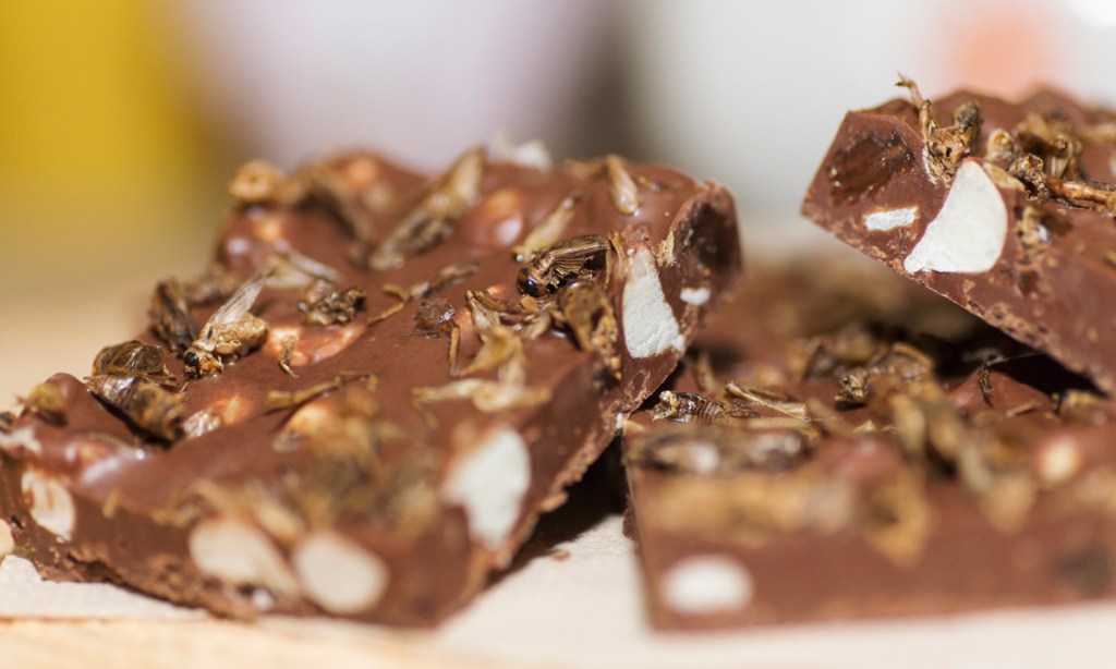 Post Dining's rocky road topped with roasted crickets and mealworms.
