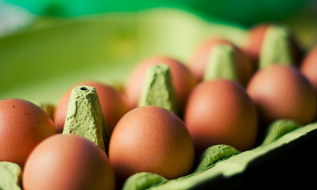 Thumbnail for Higher egg price warning over battery ban deadline