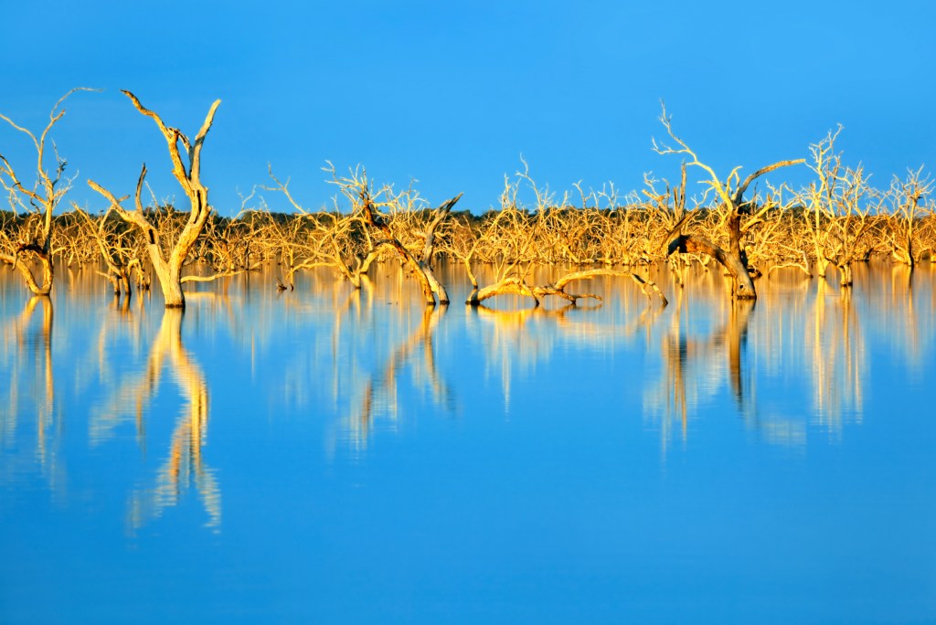 Thumbnail for Save the Murray and Broken Hill’s water – with groundwater