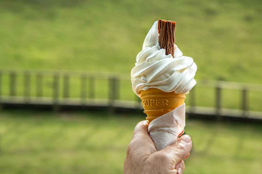 Thumbnail for Food truck reforms accelerate after soft serve hard sell