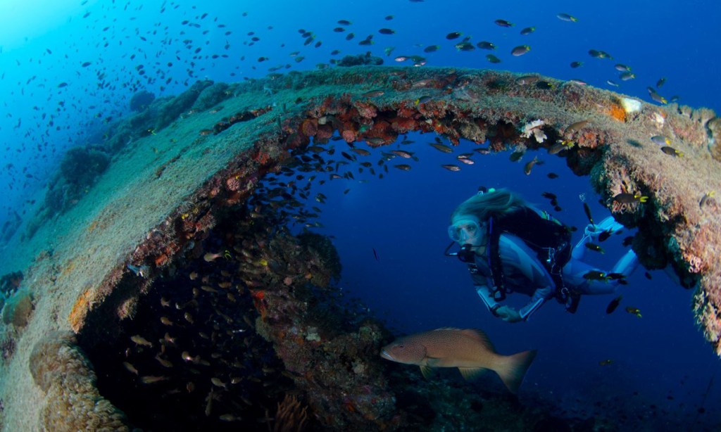 The winner of the AIMA Inaugural Pat Baker Award was Luke Baadel, who photographed at the historic wreck SS Yongala, Queensland.
