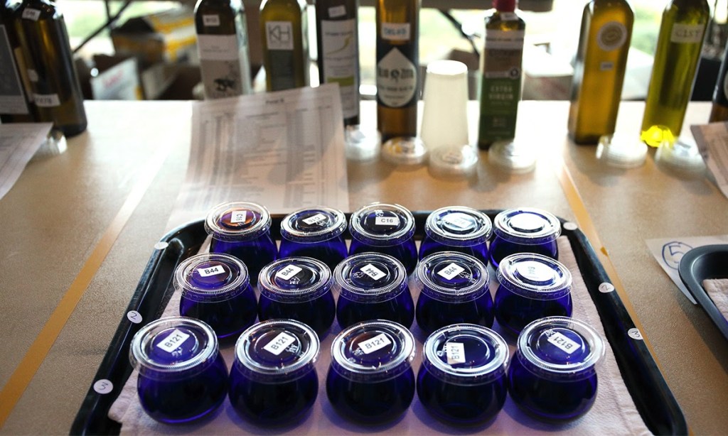 Thumbnail for Taste test: the best olive oil is anything but boring
