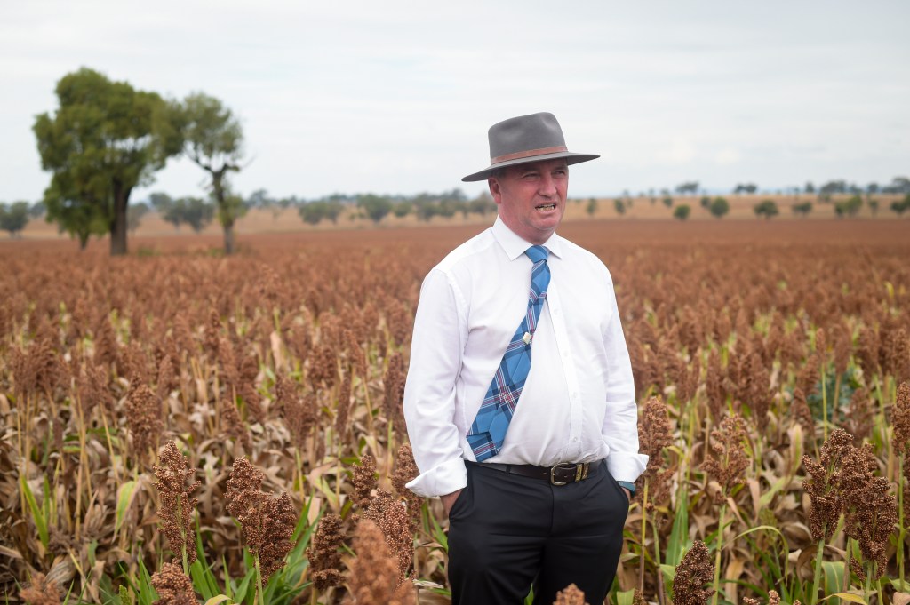 Thumbnail for SA seeks legal opinion on Joyce decisions
