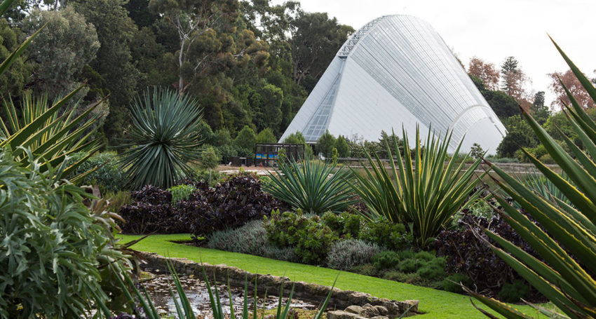 Thumbnail for New Botanic Gardens director named