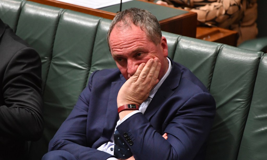 Thumbnail for Court citizenship decision threatens Turnbull majority