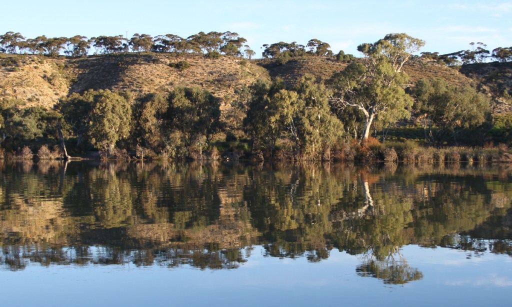 Thumbnail for SA Aboriginal community concern over landscape board representation