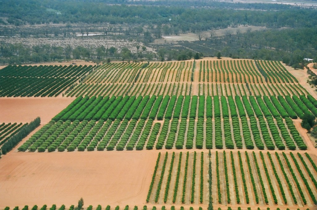 Thumbnail for Northern Adelaide Irrigation Scheme a step toward South Australia’s export future