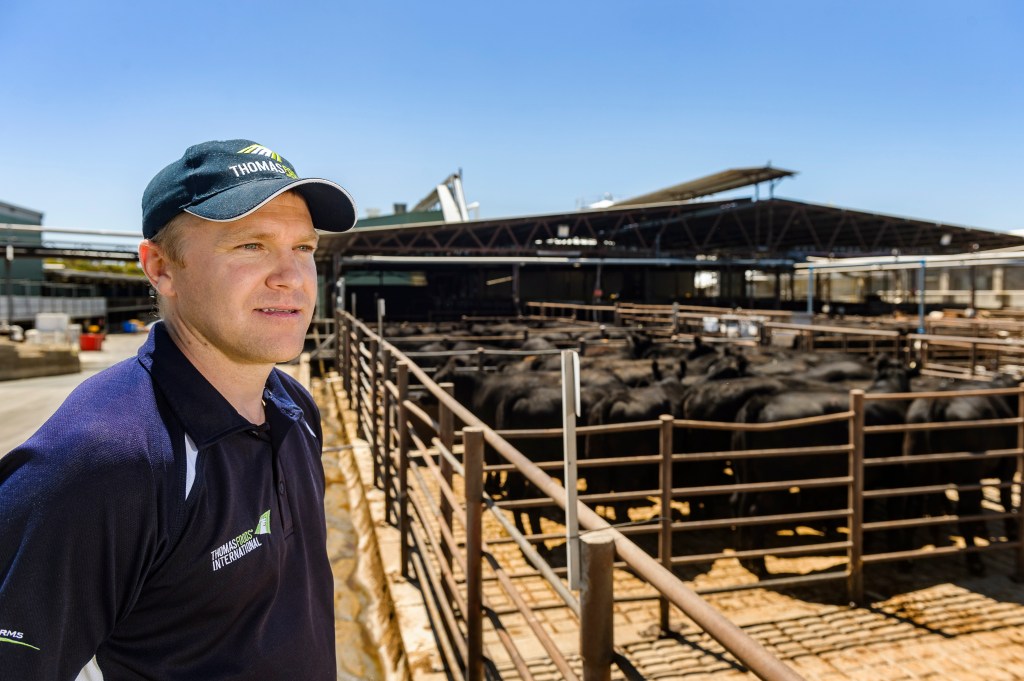 Thumbnail for South Australia’s food industry is a growing field of opportunity