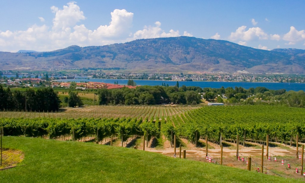 Okanagan vineyards. Photo: Peter M Graham / flickr