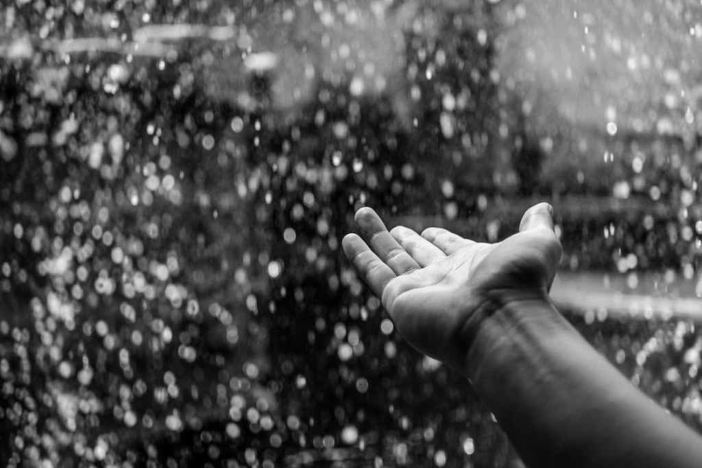 Rainfall has been below average this year to date.  File image