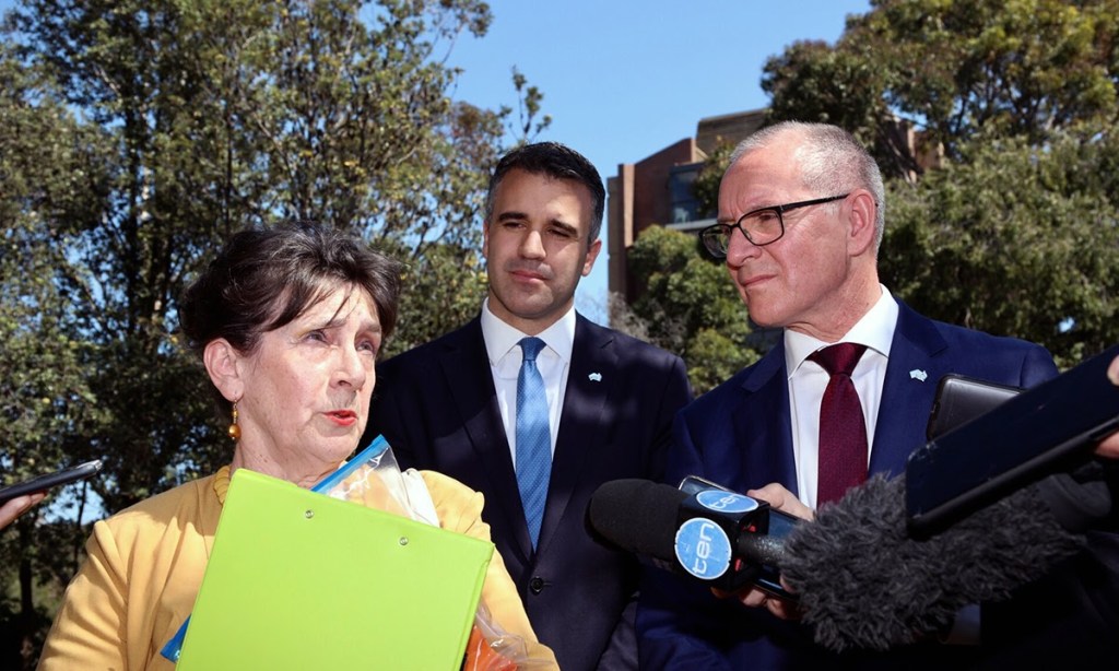 Frances Bedford, Peter Malinauskas and Jay Weatherill speak to media after touring Modbury Hospital in September. Photo: Tony Lewis / InDaily