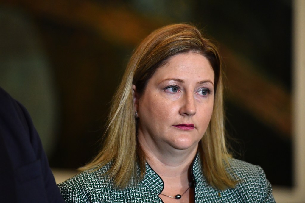 Thumbnail for Citizenship chaos engulfs end of parliamentary year