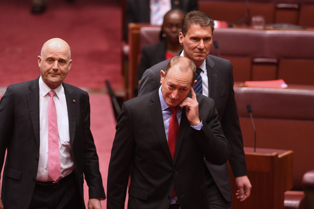 Thumbnail for New One Nation senator quits party
