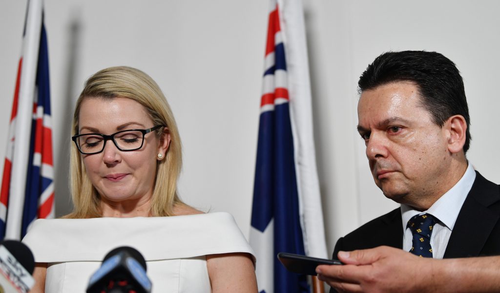 Thumbnail for SKYEFALL: Xenophon senator quits as citizenship crisis escalates