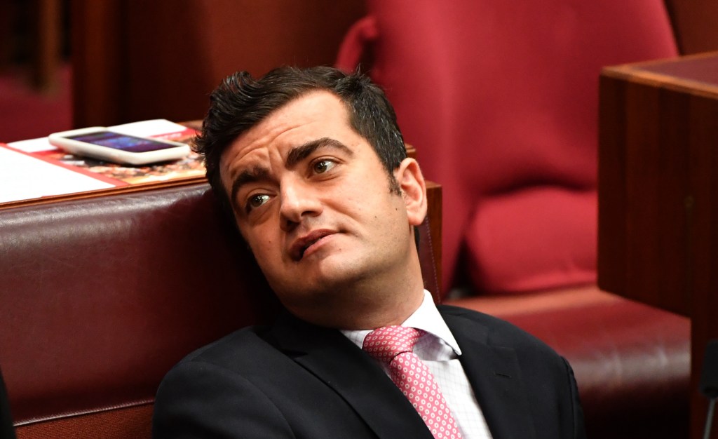 Thumbnail for Dastyari must consider future, say Labor MPs