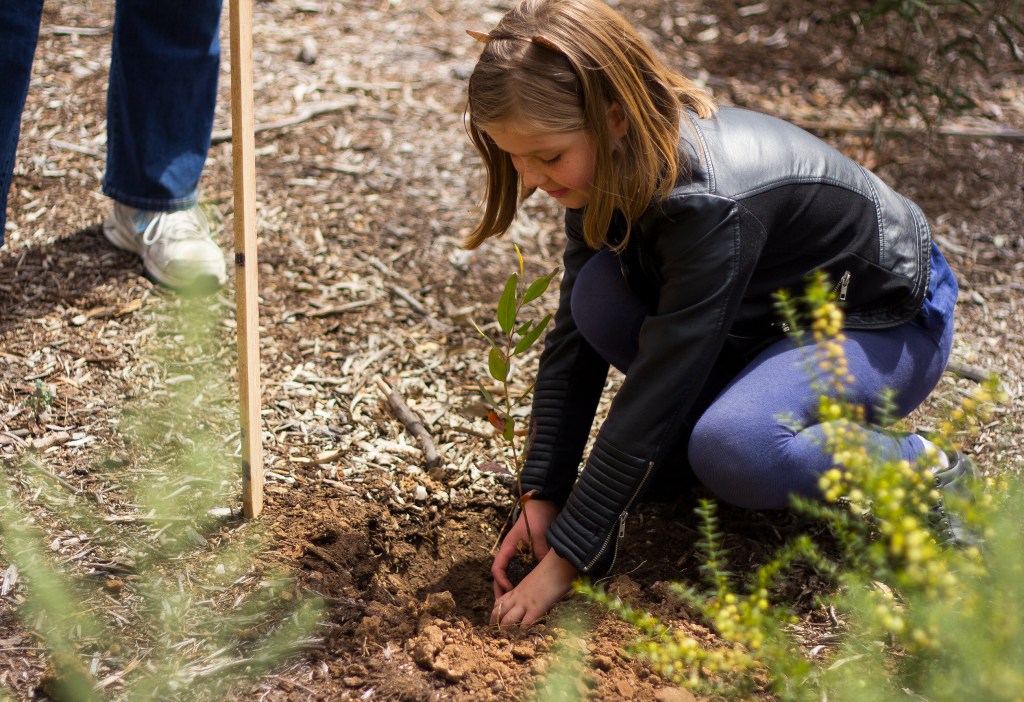 Thumbnail for What can carbon sequestration do for South Australia?
