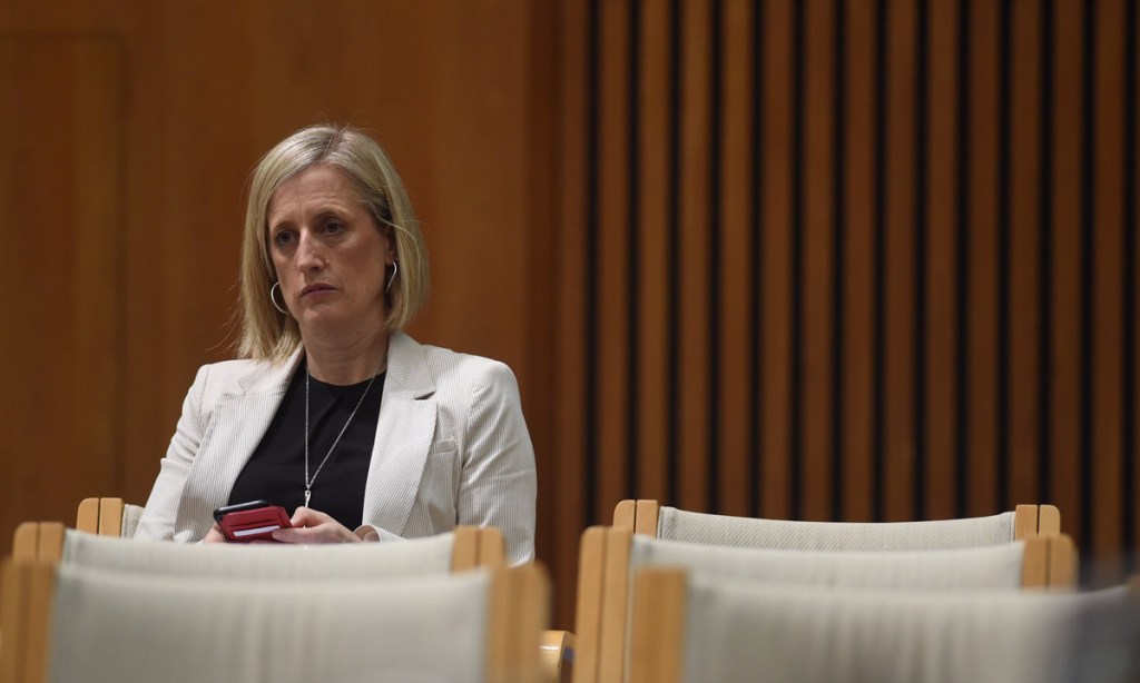 Thumbnail for Labor senator likely to face High Court over citizenship
