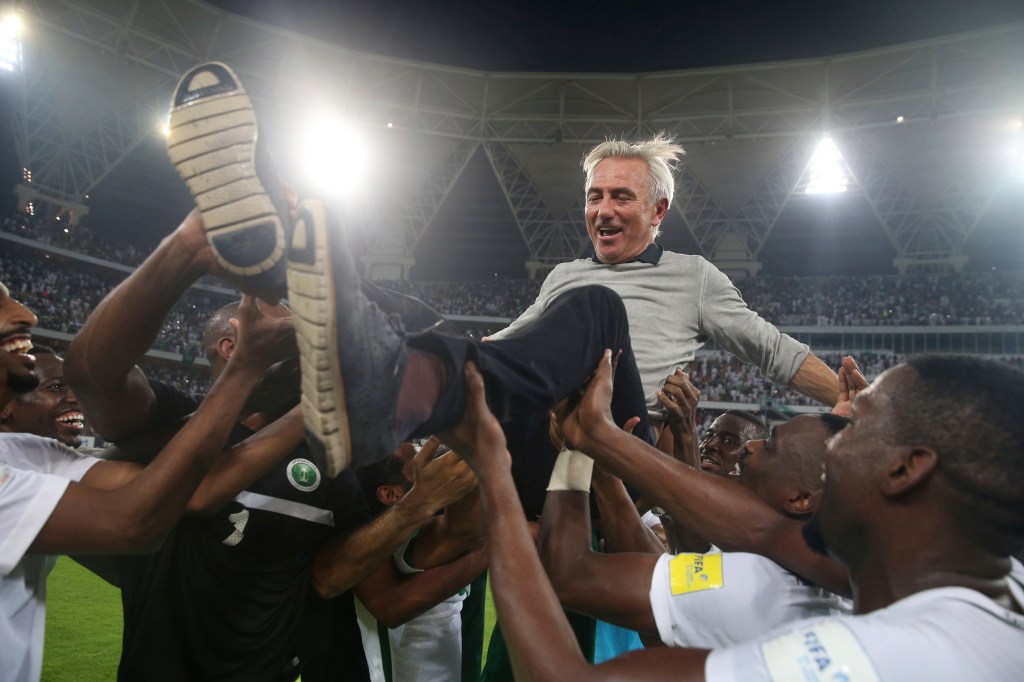 Thumbnail for Dutchman named new Socceroos coach