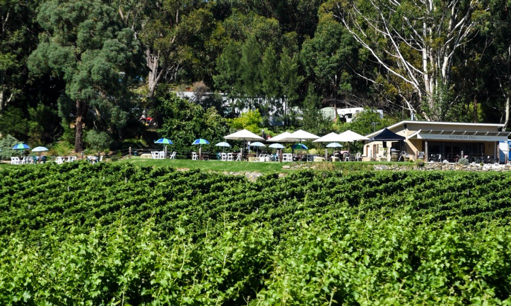 Thumbnail for Heat hits Adelaide Hills Crush events