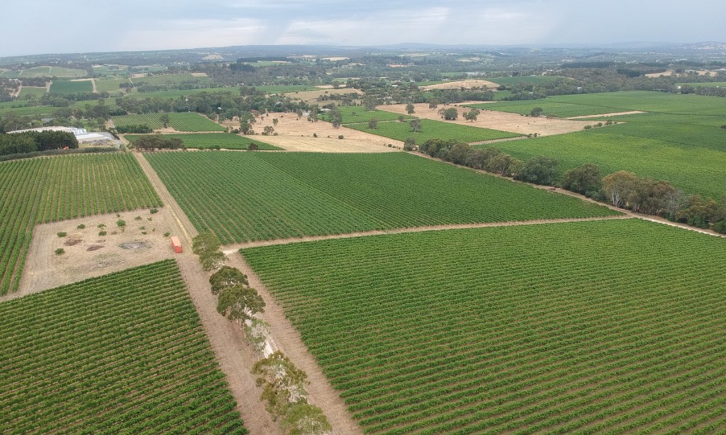 The Hut Block, alongside the popular Willunga bicycle and hiking track east of The Salopian on McMurtrie Road. Photo: supplied