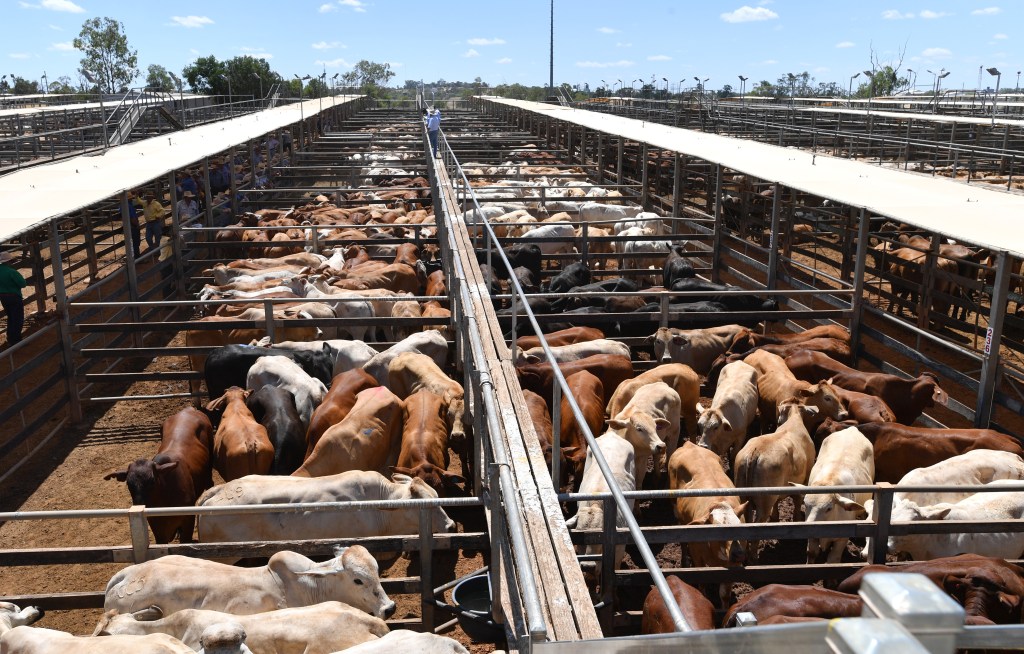 Thumbnail for Meat sector aims for carbon neutrality