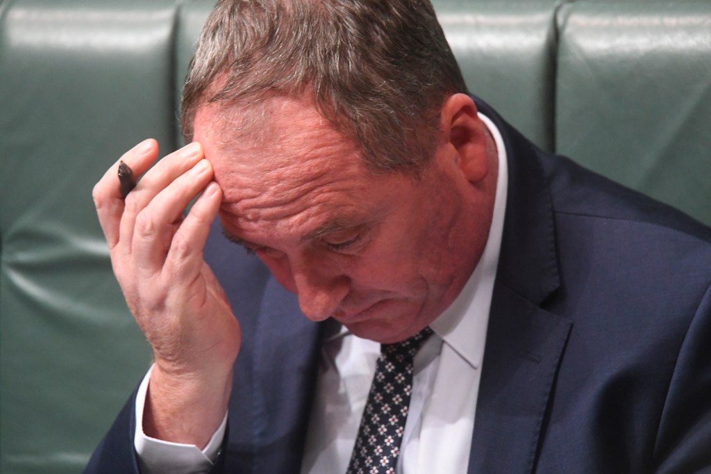 Deputy Prime Minister Barnaby Joyce. Photo: AAP/Lukas Coch